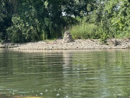 Mainschwimmen Juni 2026